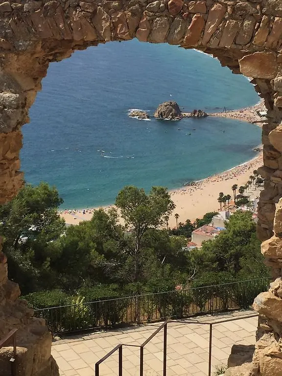 Apartment Victor Blanes