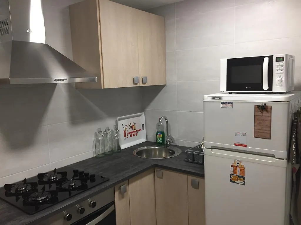 Apartment Victor Blanes 0*,