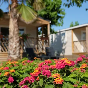 Camping El Pinar Camping